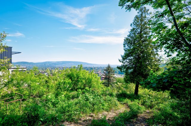 Eladó telek, Törökbálinton 159 M Ft / költözzbe.hu