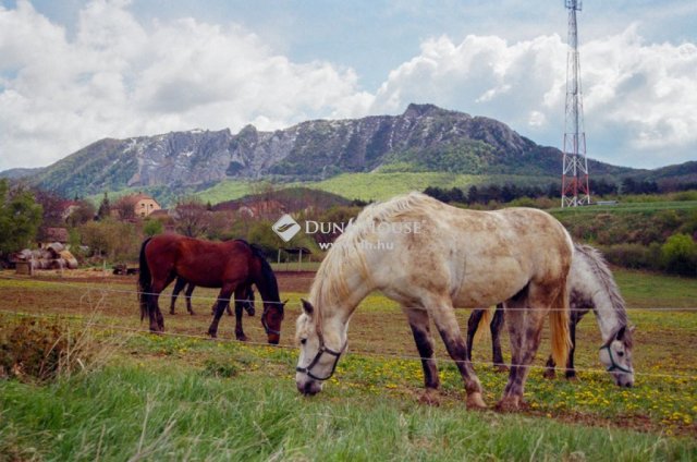 Eladó hotel, Dédestapolcsányban 521.3 M Ft, 21 szobás