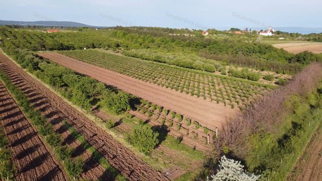 Eladó mezogazdasagi ingatlan, Zánkán 149 M Ft