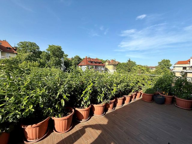 Eladó téglalakás, Budapesten, II. kerületben 282.8 M Ft