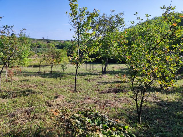 Eladó mezogazdasagi ingatlan, Balatonkeresztúron 6 M Ft