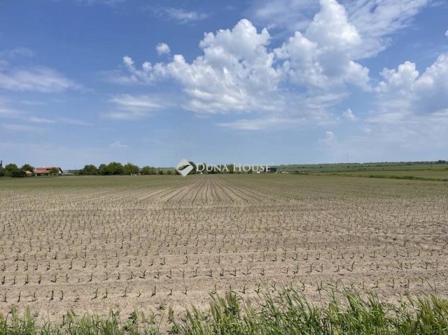Eladó telek, Pázmándon 8.545 M Ft / költözzbe.hu