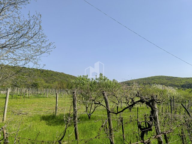 Eladó telek, Felsőörsön 12.9 M Ft / költözzbe.hu