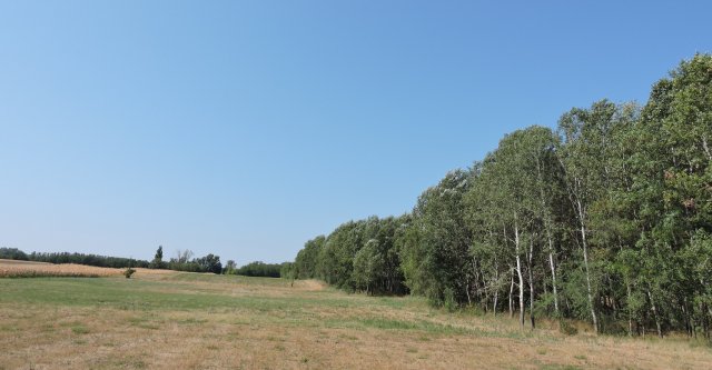 Eladó mezogazdasagi ingatlan, Kerekegyházán 17.5 M Ft