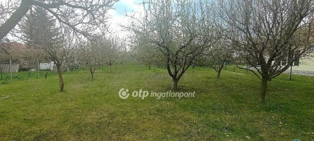 Eladó telek, Győrzámolyon 28 M Ft / költözzbe.hu