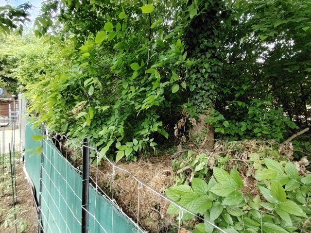 Eladó telek, Szigetszentmiklóson 12.9 M Ft / költözzbe.hu