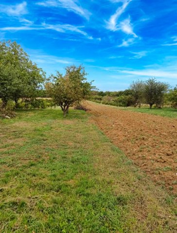 Eladó mezogazdasagi ingatlan, Várpalotán 13.5 M Ft, 2 szobás