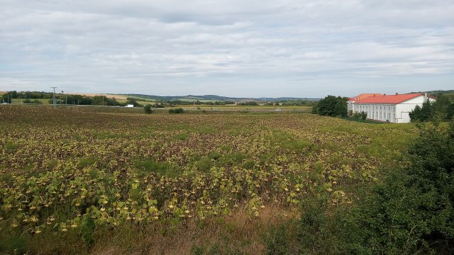 Eladó telek, Bagon 42 M Ft / költözzbe.hu