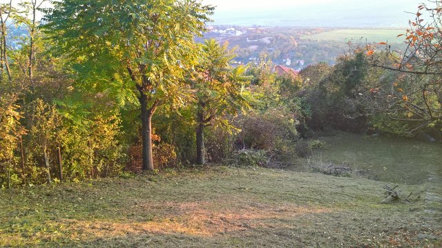 Eladó telek, Pomázon 34.9 M Ft / költözzbe.hu