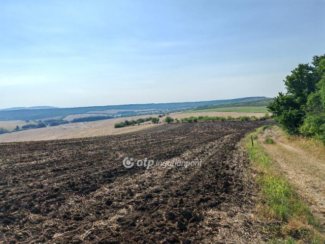 Eladó telek, Szomoron 7 M Ft / költözzbe.hu