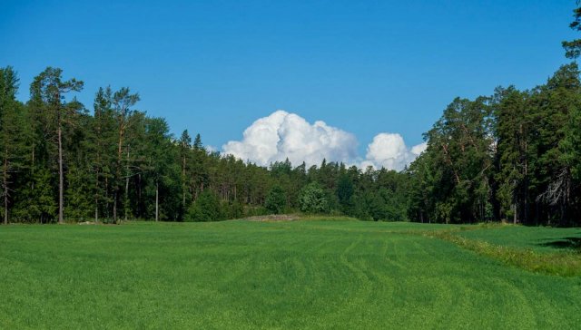 Eladó mezogazdasagi ingatlan, Kiskunhalason 29 M Ft