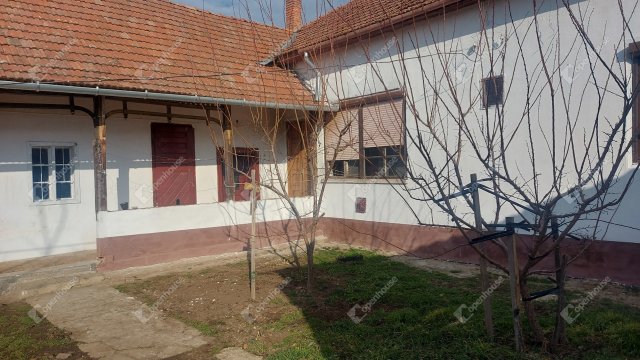 Eladó családi ház, Medgyesegyházán 18.4 M Ft, 5 szobás
