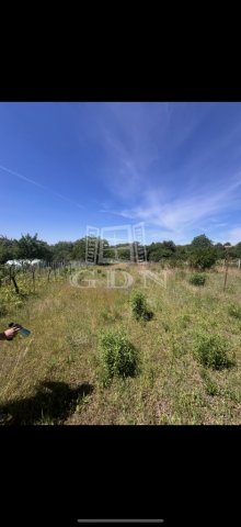 Eladó mezogazdasagi ingatlan, Ecseren 7.9 M Ft