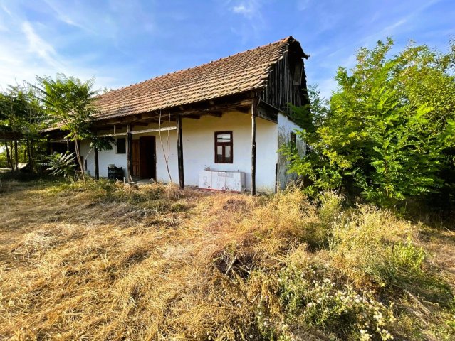 Eladó családi ház, Gyulán 4.5 M Ft, 1 szobás