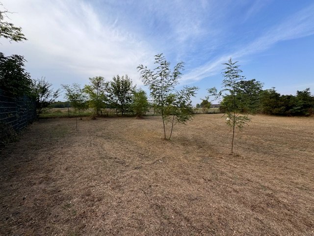 Eladó telek, Mosonszentmiklóson 12.5 M Ft / költözzbe.hu