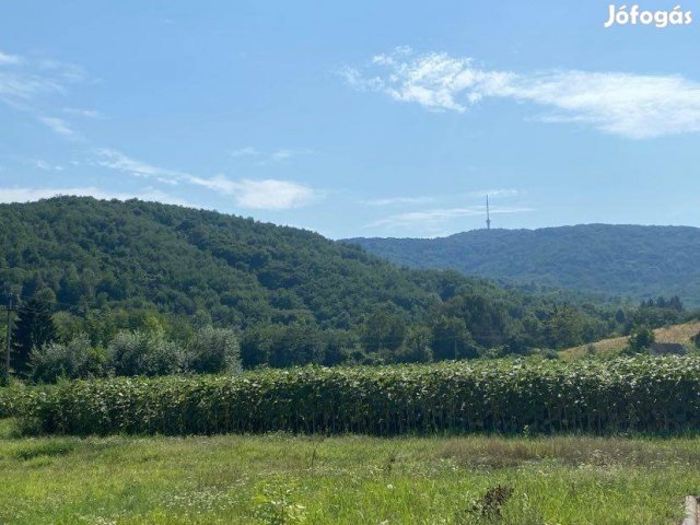 Eladó telek, Tokajban 129 M Ft / költözzbe.hu