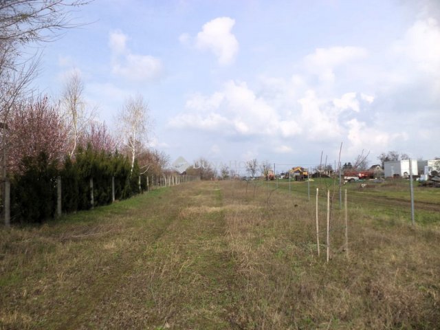 Eladó telek, Gárdonyban 19.7 M Ft / költözzbe.hu