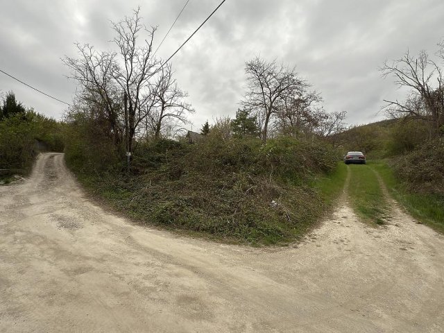 Eladó telek, Szentendrén 10 M Ft / költözzbe.hu