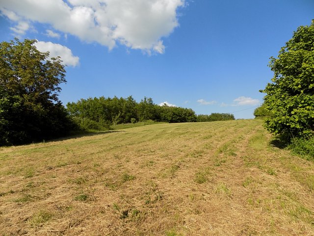 Eladó telek, Balatonberényben 7.5 M Ft / költözzbe.hu