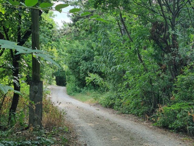 Eladó mezogazdasagi ingatlan, Balatonalmádiban 11 M Ft