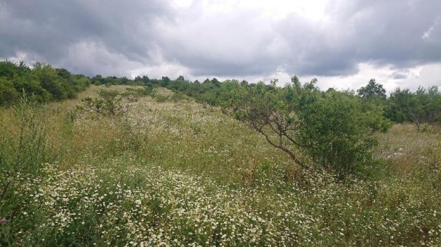 Eladó telek, Törökbálinton 79 M Ft / költözzbe.hu