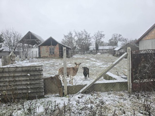 Eladó telek, Kabán 9.8 M Ft / költözzbe.hu