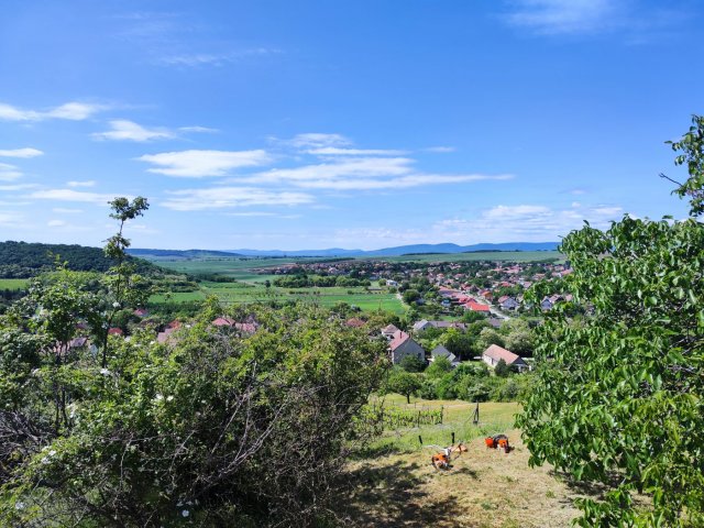 Eladó telek, Rádon 29.9 M Ft / költözzbe.hu