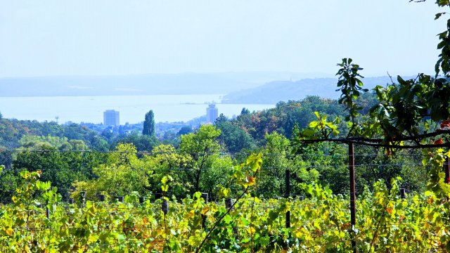 Eladó nyaraló, Balatonfüreden 60 M Ft, 2 szobás