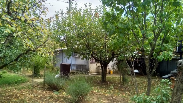 Eladó családi ház, Pécsett 3.4 M Ft, 1 szobás