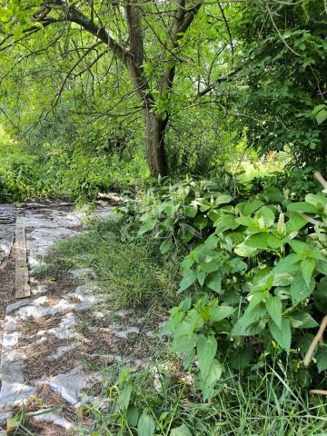 Eladó mezogazdasagi ingatlan, Dunakeszin 4.9 M Ft