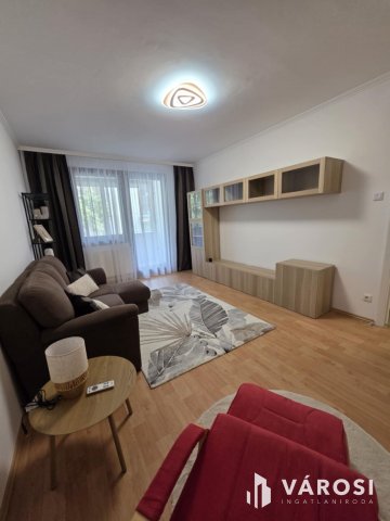 Kiadó panellakás, albérlet, Debrecenben 250 E Ft / hó, 2 szobás