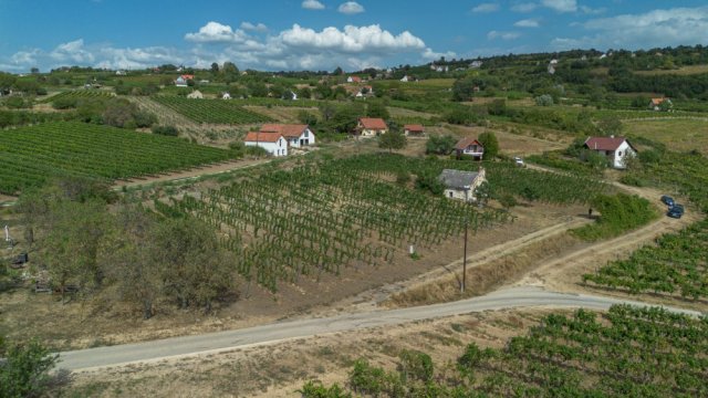 Eladó telek, Szentantalfán 71.9 M Ft / költözzbe.hu