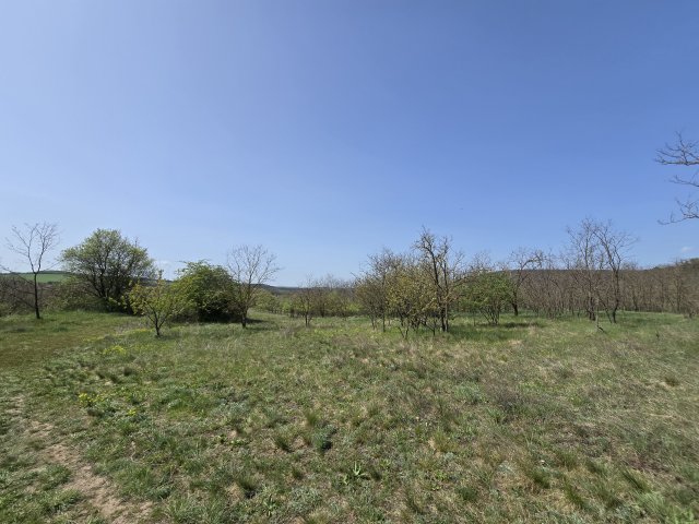 Eladó telek, Piliscsabán 39 M Ft / költözzbe.hu