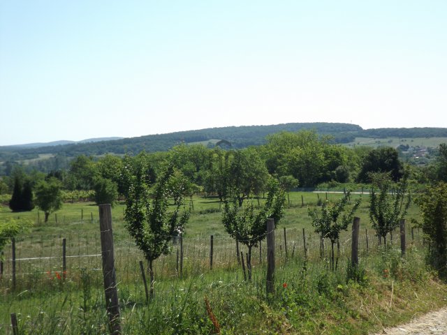 Eladó telek, Pécselyen 19.9 M Ft / költözzbe.hu