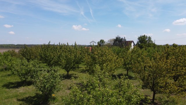 Eladó telek, Balatonkenesén 85 M Ft / költözzbe.hu