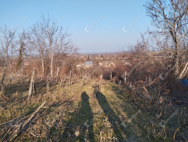 Eladó telek, Nyúlon 17 M Ft / költözzbe.hu