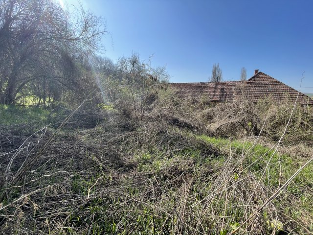 Eladó telek, Sárisápon 14.9 M Ft / költözzbe.hu