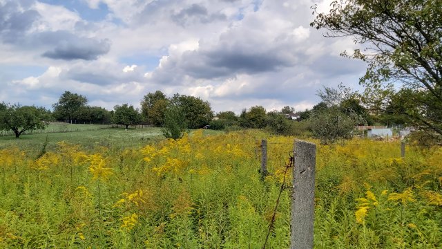 Eladó telek, Vértesszőlősön, Baromállási dűlőn 4.5 M Ft