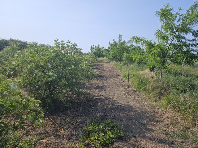 Eladó telek, Kőszárhegyen 4.8 M Ft / költözzbe.hu