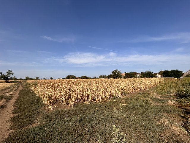 Eladó családi ház, Bácsbokodon 2.7 M Ft, 2 szobás