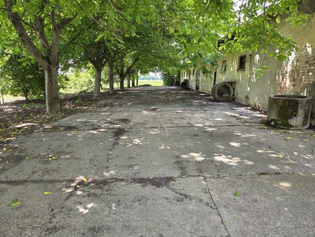 Eladó mezogazdasagi ingatlan, Nagybaracskán 19.8 M Ft