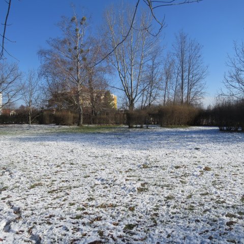 Eladó telek, Zalakaroson 57.15 M Ft / költözzbe.hu