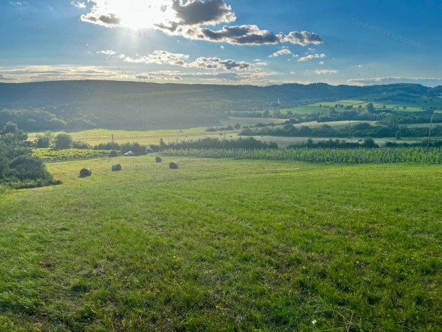 Eladó mezogazdasagi ingatlan, Szentantalfán 17.9 M Ft