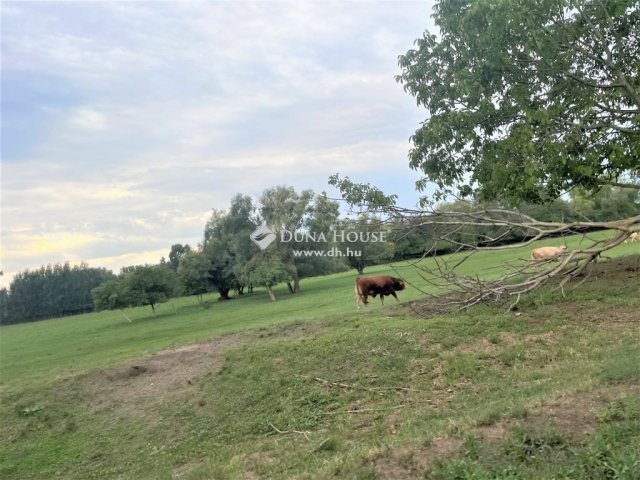 Eladó mezogazdasagi ingatlan, Pilisen 8 M Ft / költözzbe.hu