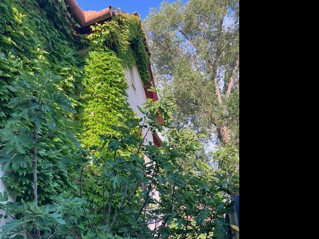 Eladó családi ház, Nyíregyházán 77.9 M Ft, 4 szobás