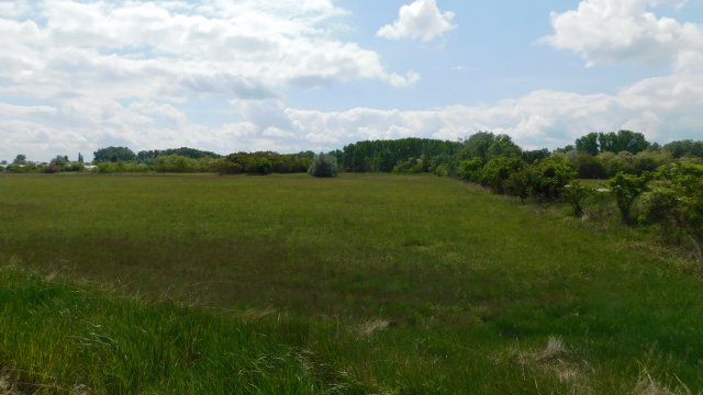 Eladó mezogazdasagi ingatlan, Szegeden, Külterület 8.5 M Ft