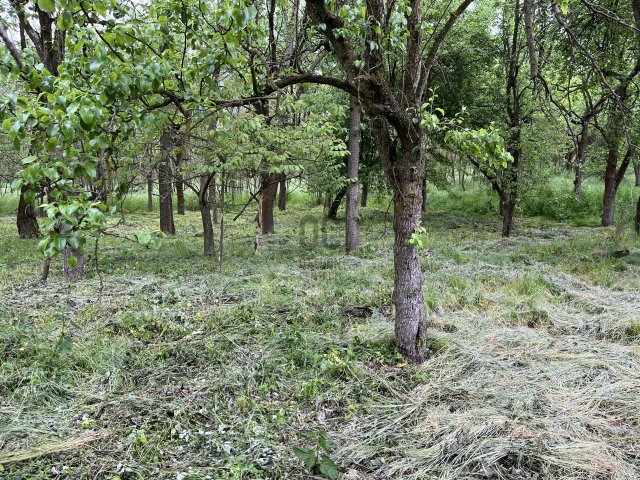 Eladó mezogazdasagi ingatlan, Nyíregyházán 8.5 M Ft