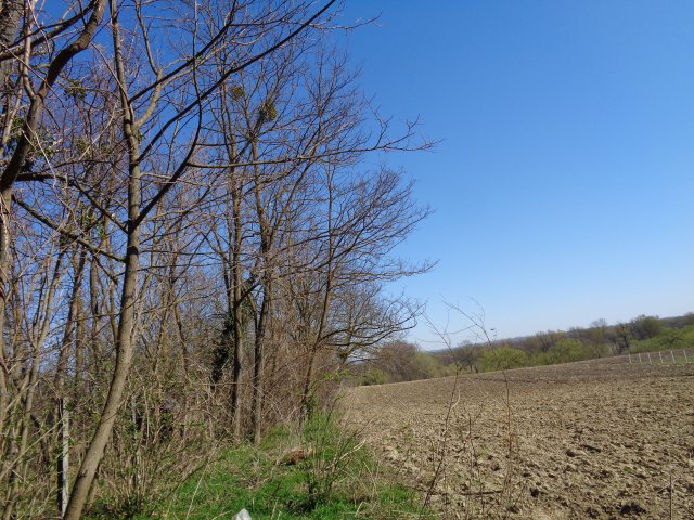 Eladó telek, Zalaszabaron 8.945 M Ft / költözzbe.hu