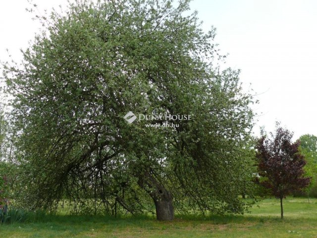 Eladó családi ház, Pusztahencsen 59.99 M Ft, 3 szobás