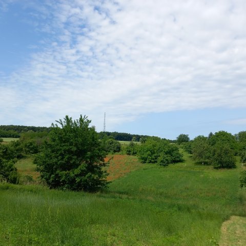Eladó mezogazdasagi ingatlan, Balatonberényben 10.9 M Ft